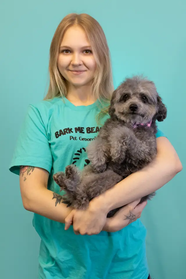 A Bark Me Beautiful groomer in a turquoise tee holding a grey poodle against the studio's turquoise wall