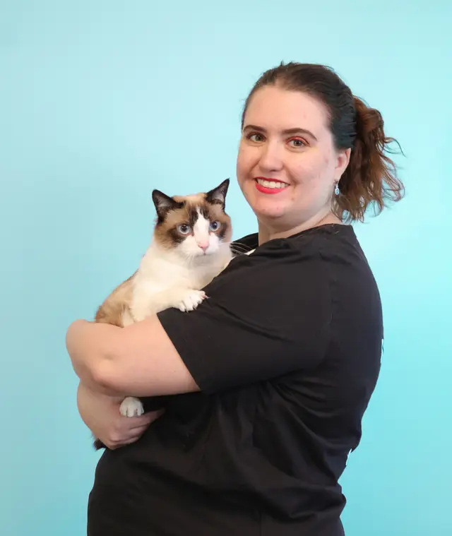 A team member holding a Snowshoe cat in front of the turquoise wall