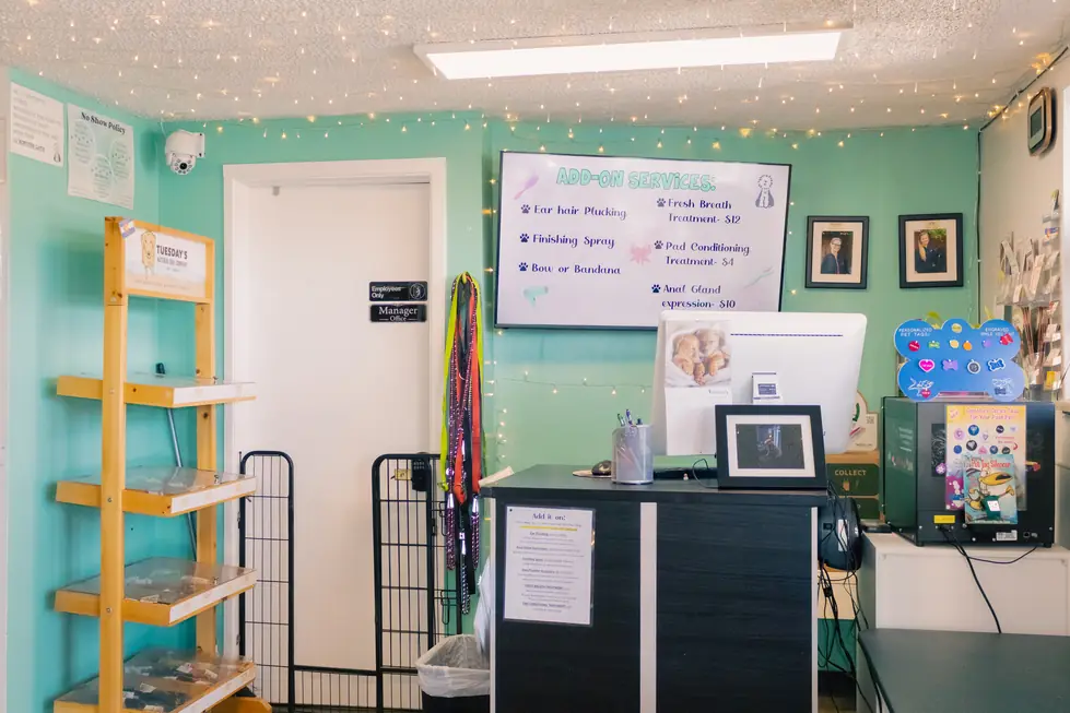 The studio lobby with a teal wall, the add-on menu board and strings of fairy lights