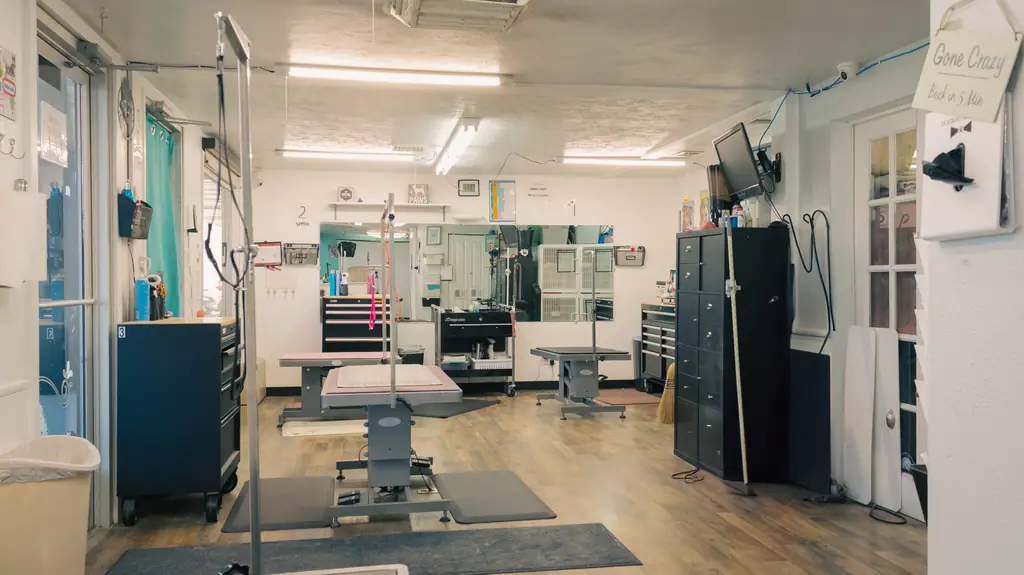 The wide grooming room with grooming tables, a wall mirror and tool chests