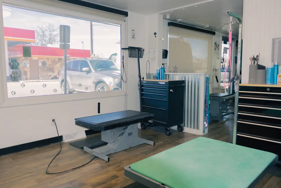 A grooming table with a teal-green mat beside the studio window