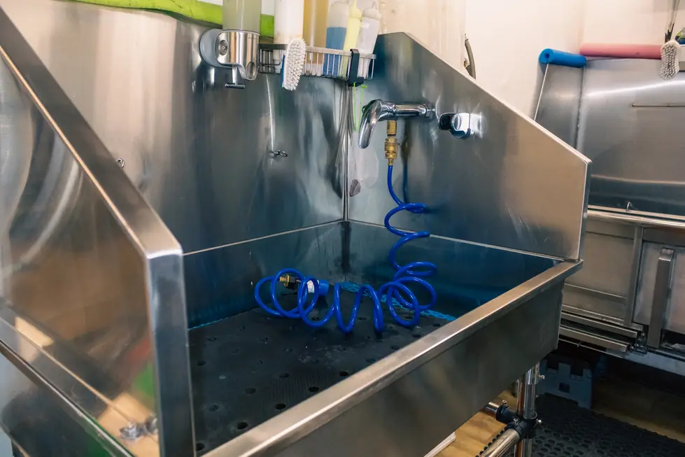 A stainless steel grooming tub with a coiled blue hose