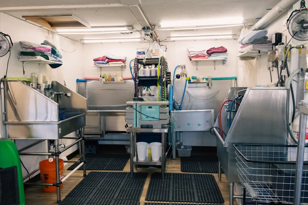 The studio wash room with stainless tubs and shelves of folded towels